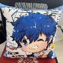 cushion cover05.webp